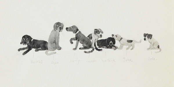 Ramiro Fernandez Saus Family, 2024