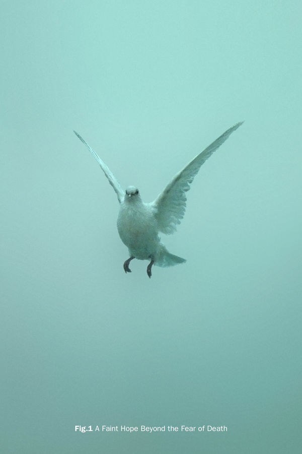 Damien Hirst Fig.1 A Faint Hope Beyond the Fear of Death , 2005