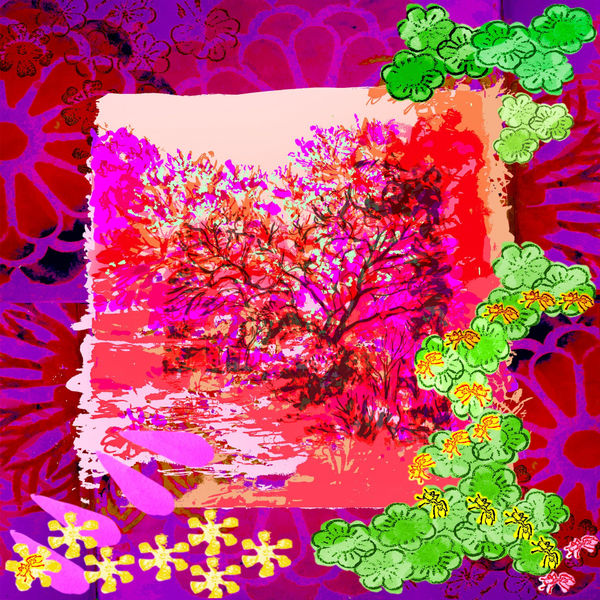 Cercis: Luscious Heat