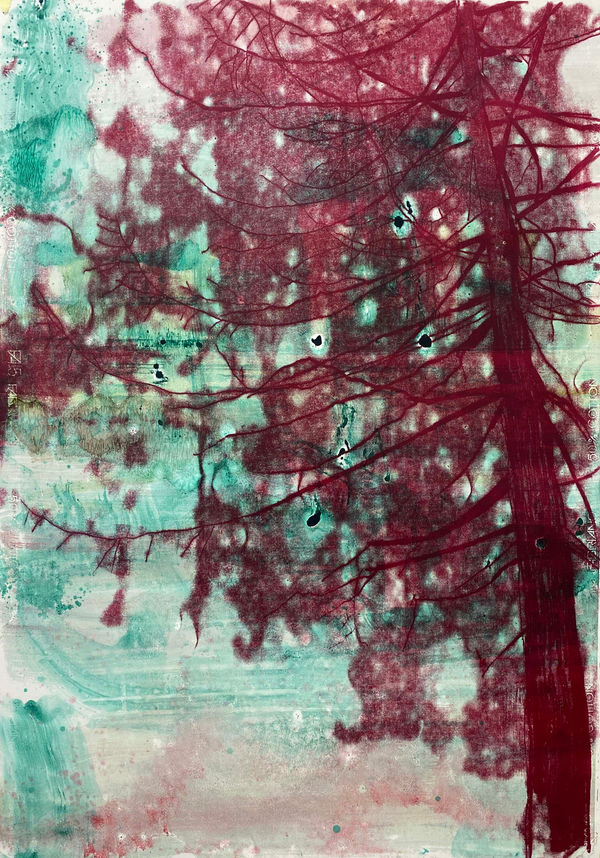 Nick Archer Tree Form 4, 2024