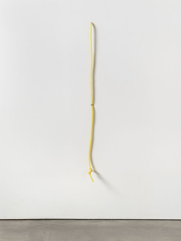 Lucia Nogueira, Untitled, 1990