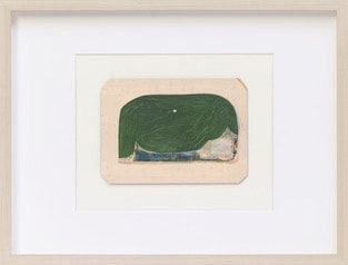 Mostly Green on Pink Background