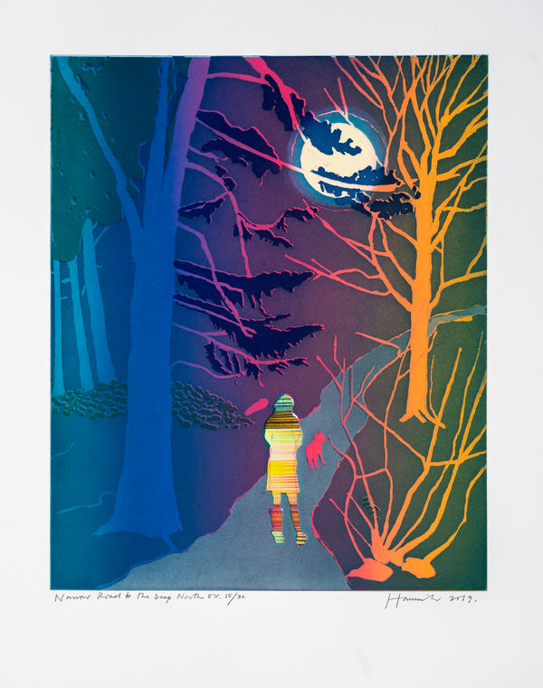 Tom Hammick Narrow Road to the Deep North, 2019 Edition variable etching with aquatint and chine collé. Signed in pencil and numbered 15 from the edition of 30. 68 x 56 cm (26 3/4 x 22 1/8 in)