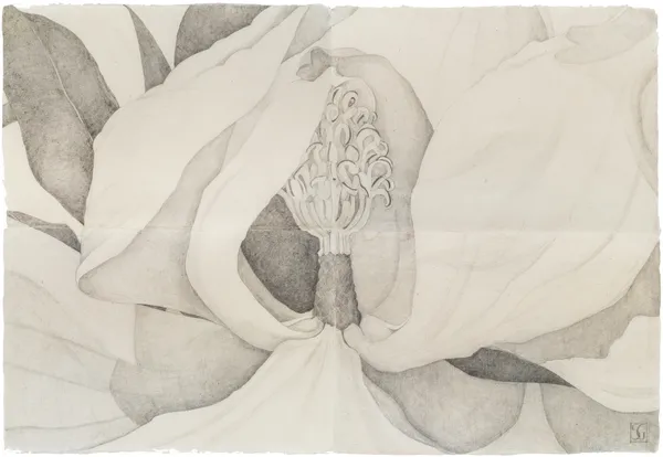 Sarah Graham Magnolia grandiflora II, 2021 Graphite on paper. Signed. 106 x 156 cm (41 3/4 x 61 3/4 in)