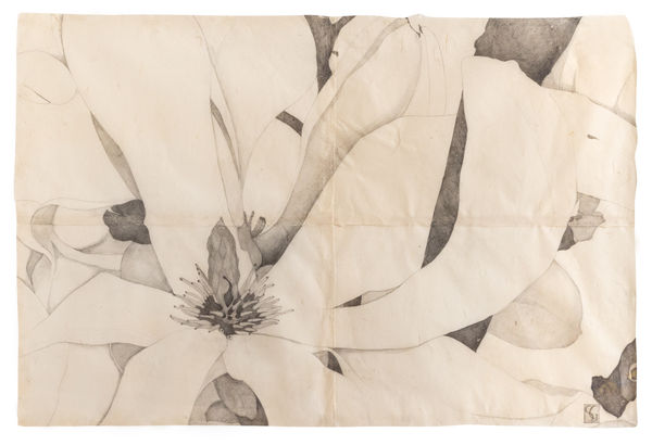 Sarah Graham Magnolia soulangeana IV, 2022 Graphite on paper. Signed. 106 x 156 cm (41 3/4 x 61 3/4 in) £26,000 + VAT