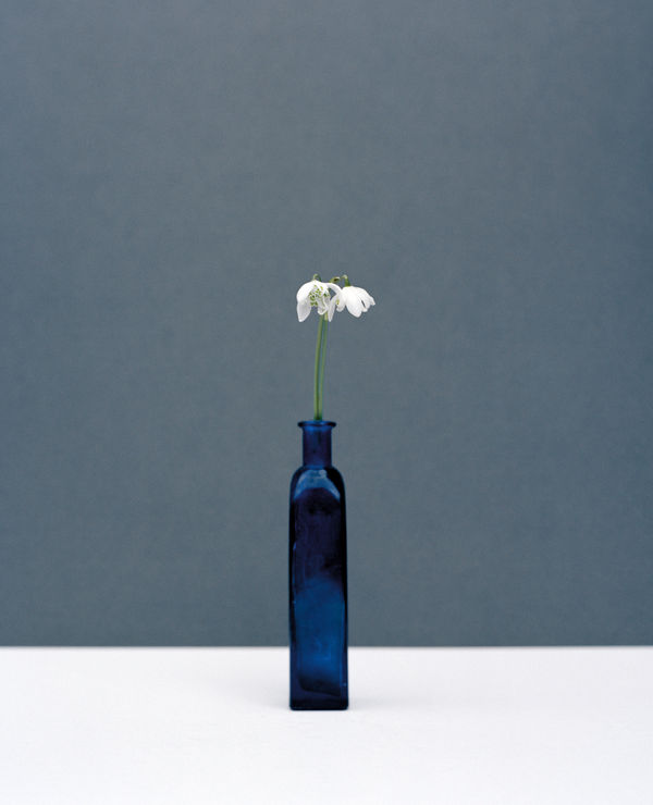 Kate Friend Penny Rimbaud, Snowdrop, Essex, 2020 C-type colour print. Signed and numbered verso. Edition of 5 with 2 APs: 80 x 65 cm (31 1/2 x 25 1/2 in) Edition of 3 with 1 AP: 153 x 122 cm (60 1/4 x 48 in)