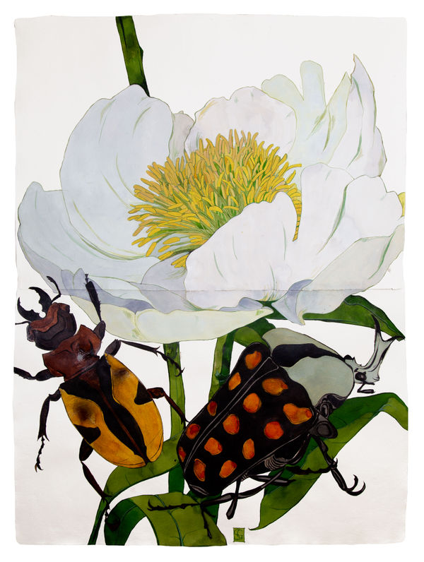 Sarah Graham Paeonia emodi I, 2019 Ink on paper. Signed. 184 x 135 cm (72 1/2 x 53 1/8 in)