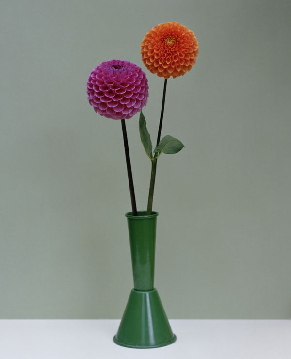 Kate Friend Charlie McCormick, Dahlia, Dorset, 2020 C-type colour print. Signed and numbered verso. Edition of 5 with 2 APs: 80 x 65 cm (31 1/2 x 25 1/2 in) Edition of 3 with 1 AP: 153 x 122 cm (60 1/4 x 48 in)