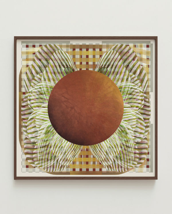 Olga Burkard, Dream Wings - Sun, 2024