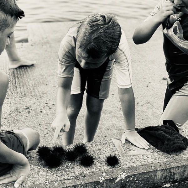 Laëtitia Masson, Ricci di Marre 1 | Série Le Grand Bleu, 2021