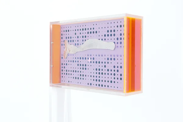 Marleen Sleeuwits, Ongoing series of False Ceilings no 24, 2025