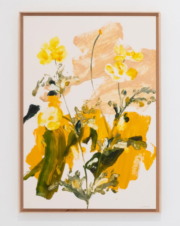 Gael Davrinche, CHELIDONIUM GLAUCIUM