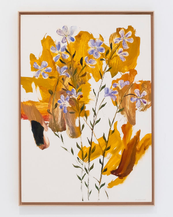 Gael Davrinche, LINUM NARBONENSE