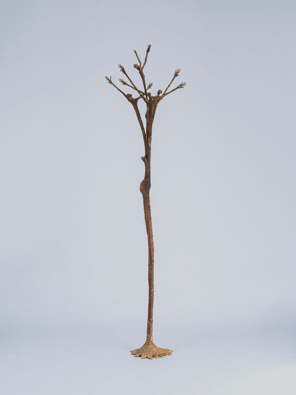 Ndary Lo, Arbre à personnages, 2014