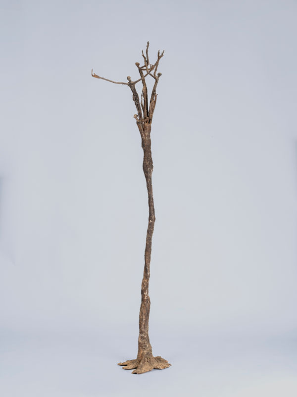 Ndary Lo, Arbre à personnages, 2014