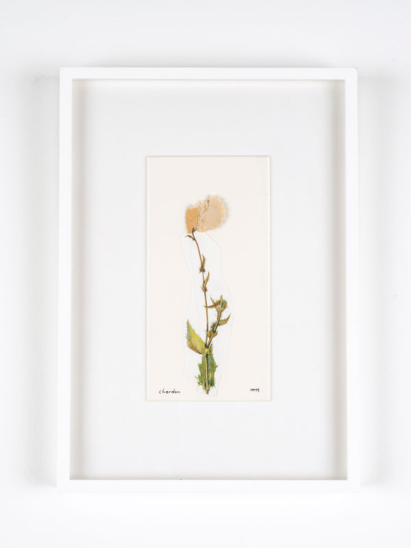 Marcel Miracle, Chardon, 2019