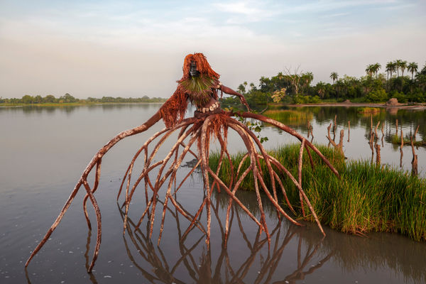 Fabrice Monteiro, Untitled #15, 2020