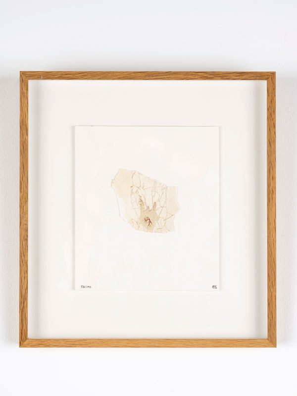 Marcel Miracle, Racine, 2016