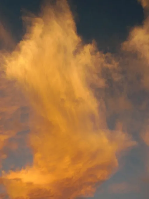 Jitka Hanzlová, CLOUD#1 Untitled 2, 2013from "WATER", 2013