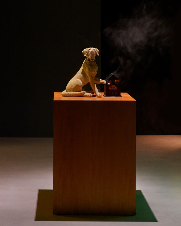 Ajay Kurian, Who has who?, 2019