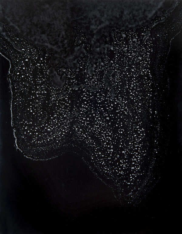 William Lamson, Flow Genesis 2018.06, 2018