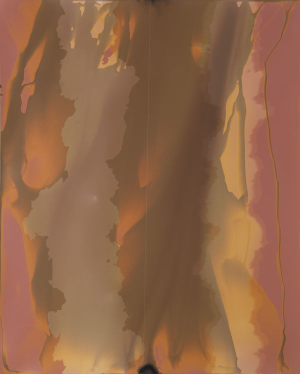 William Lamson, Flow Genesis 2018.13, 2018