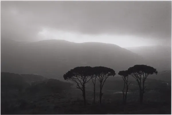 Mal Fostock, Valley, 2000