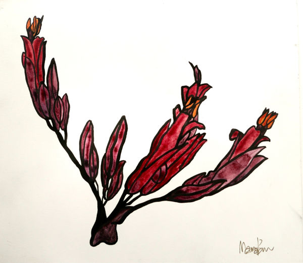 MAMAKAN Harakeke Two, November, 2022 Ink and Watercolour on Paper 27 x 31 cm 10 5/8 x 12 1/4 in