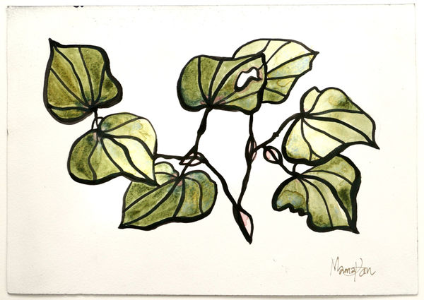 MAMAKAN Kawakawa Green, November, 2022 Ink and Watercolour on Paper 22 x 31 cm 8 5/8 x 12 1/4 in
