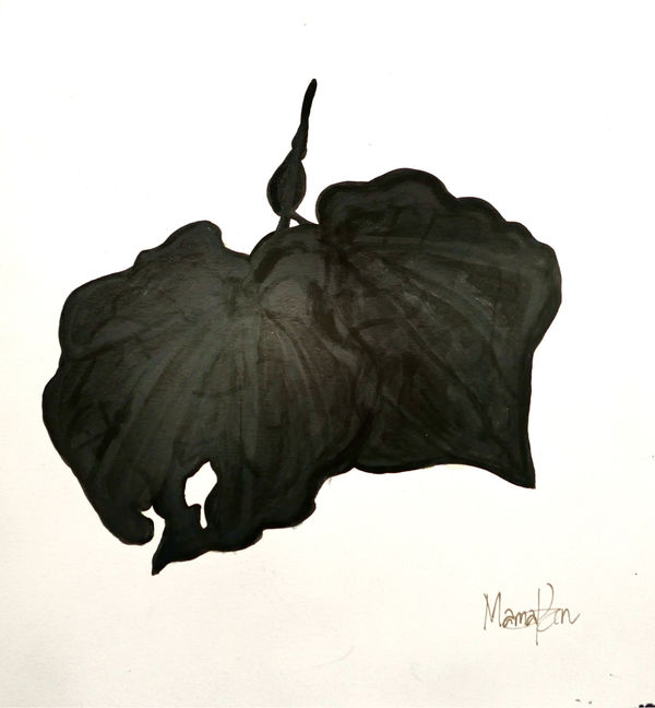 MAMAKAN Kawakawa Black, November, 2022 Ink and Watercolour on paper 28 x 25 cm 11 x 9 7/8 in