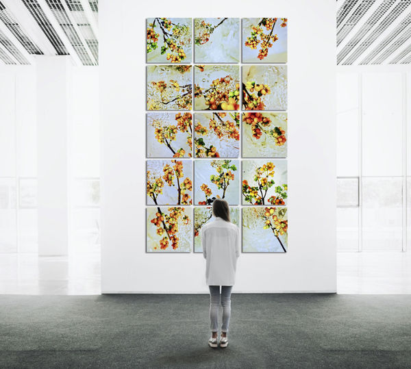 Karamū (Coprosma robusta) , 2020 188 x 316 x 4 cm 74 1/8 x 124 3/8 x 1 5/8 in