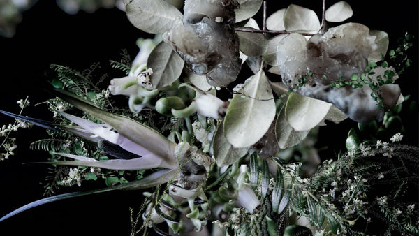 GastroGeography x Pukakawa, 2022