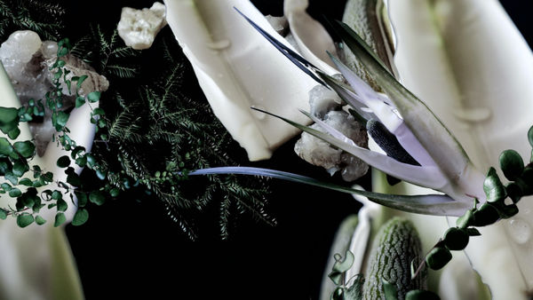 Frozen Duck Pond, 2022