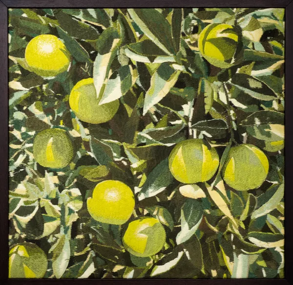 Mustafa Boğa, Orange tree 22, 2026