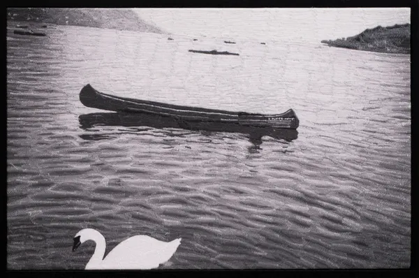 Mustafa Boğa, Swan Lake (version 3), 2025