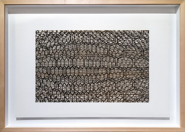 Joseph Cohen, Proposition 491 (Where do I stand? Part 1)