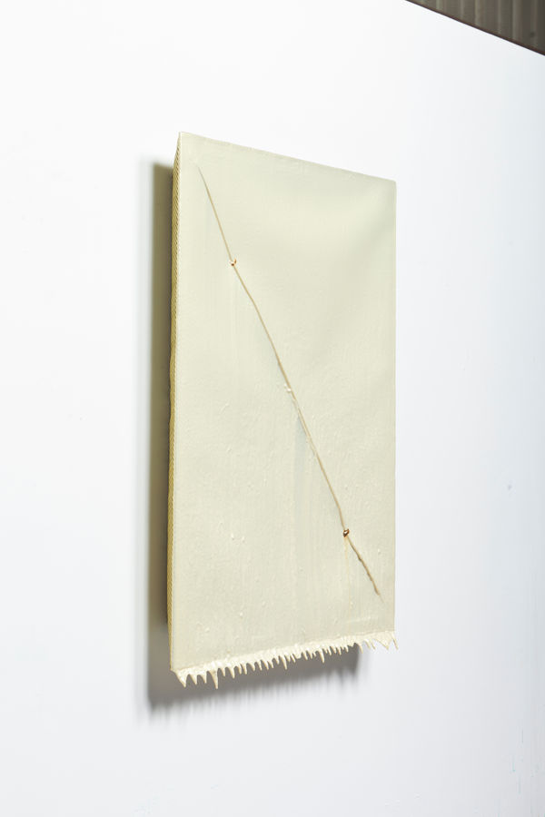 Joseph Cohen, Proposition 323