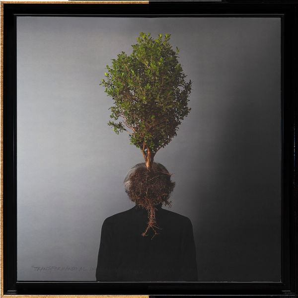 Ricardo Elias, Transformando al individuo se transforma al mundo. Al revés, no., 2024