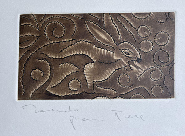 Francisco Toledo, Sin titulo (Conejo), ca. 1975