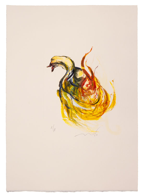 Luis Moro, "La fuente de los cisnes", 2024