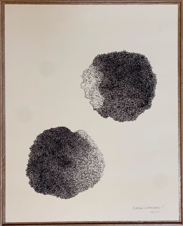 Adrián Guerrero, "Con-formación", 2025