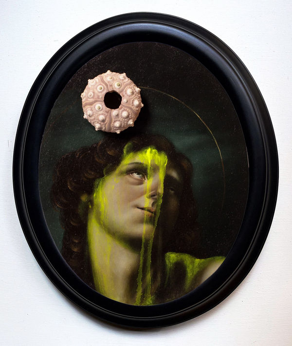 Armando de la Garza, “013” (San Sebastián pez erizo), 2024