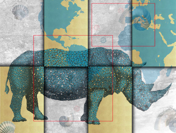 Marco Veronese, RHINO 2