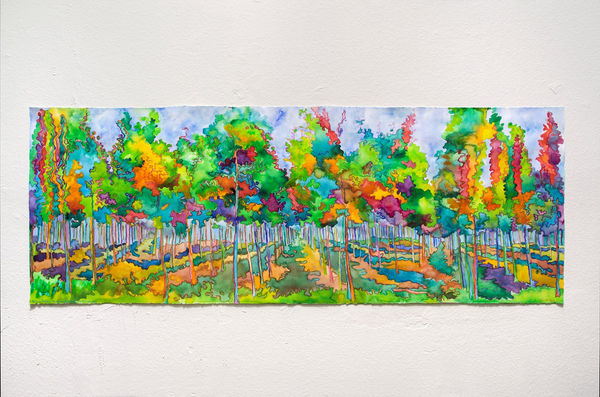 NANCY MOOSLIN, Auvillar Poplar Orchard Messiaen Catalogue d’Oiseaux #3, 2019