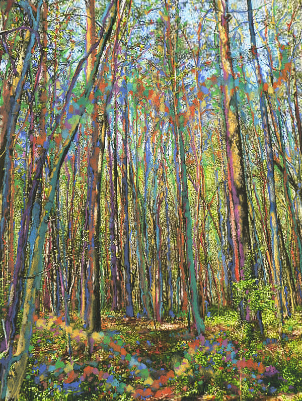 NANCY MOOSLIN, Blue Ridge Forest, Fiddle Music, Forky Deer