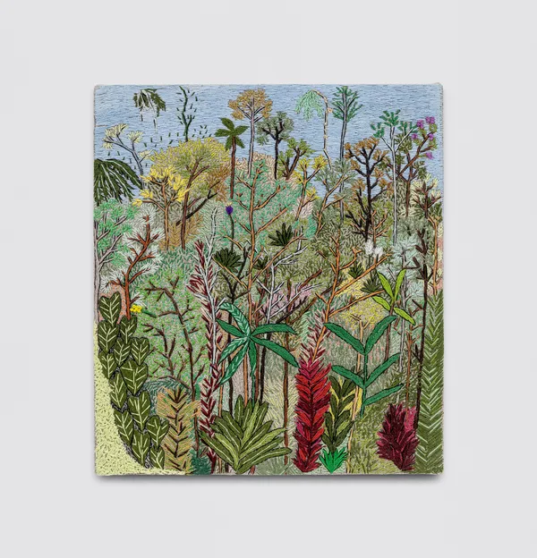 Madalena Fanucci, Floresta, 2025