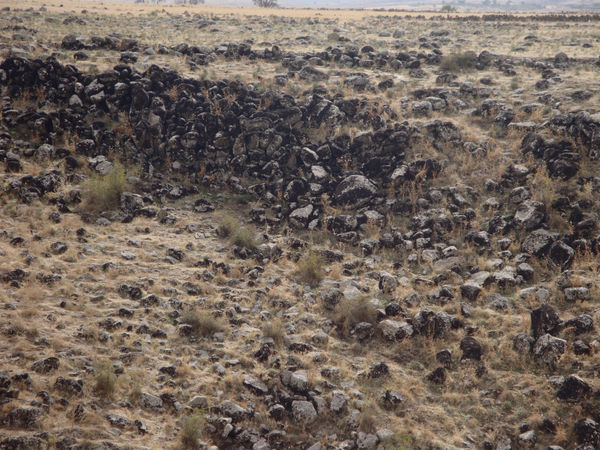 Paola Yacoub, B9, 2012