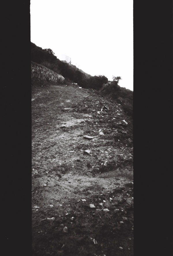 Paola Yacoub, A5, 1995