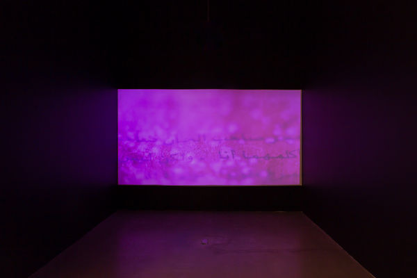 Vartan Avakian, Your Skin Shall Bear Witness Against You, 2018