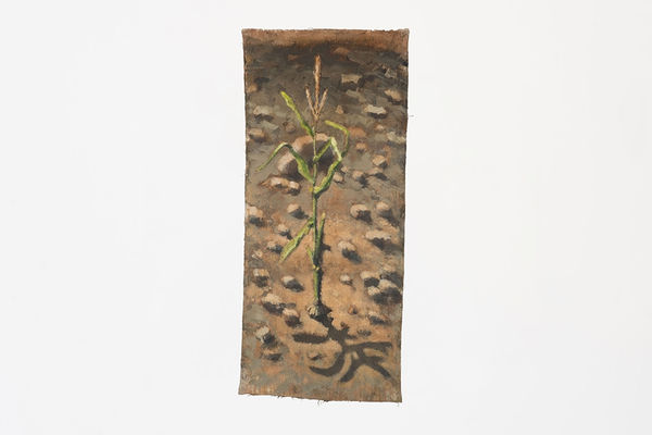 Omar Fakhoury, Corn Plant , 2021